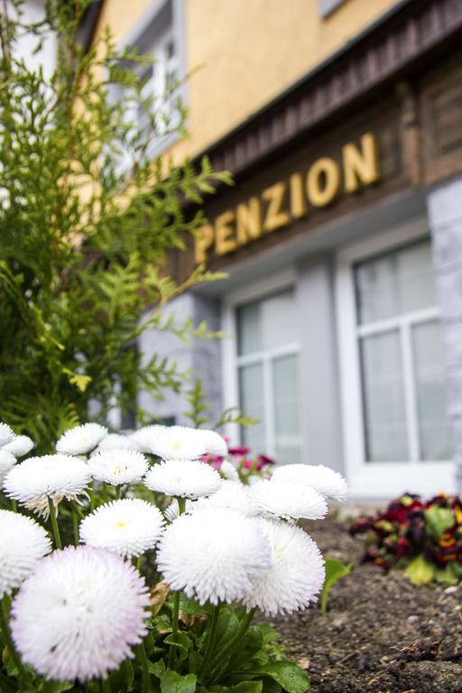 Penzion 43 Bor Zewnętrze zdjęcie